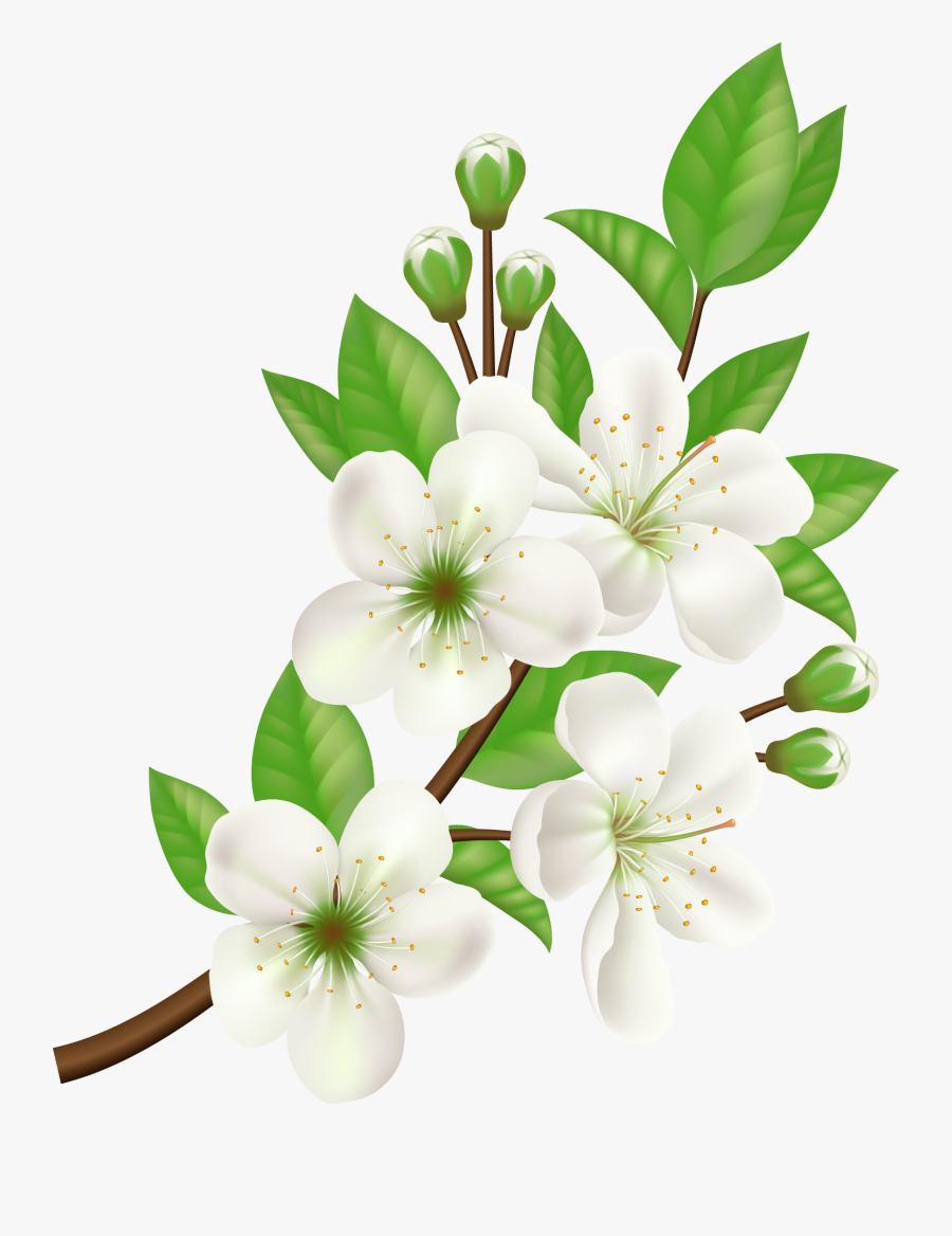 Download Royalty-free Computer Icons Flower - Jasmine Flower Vector ...
