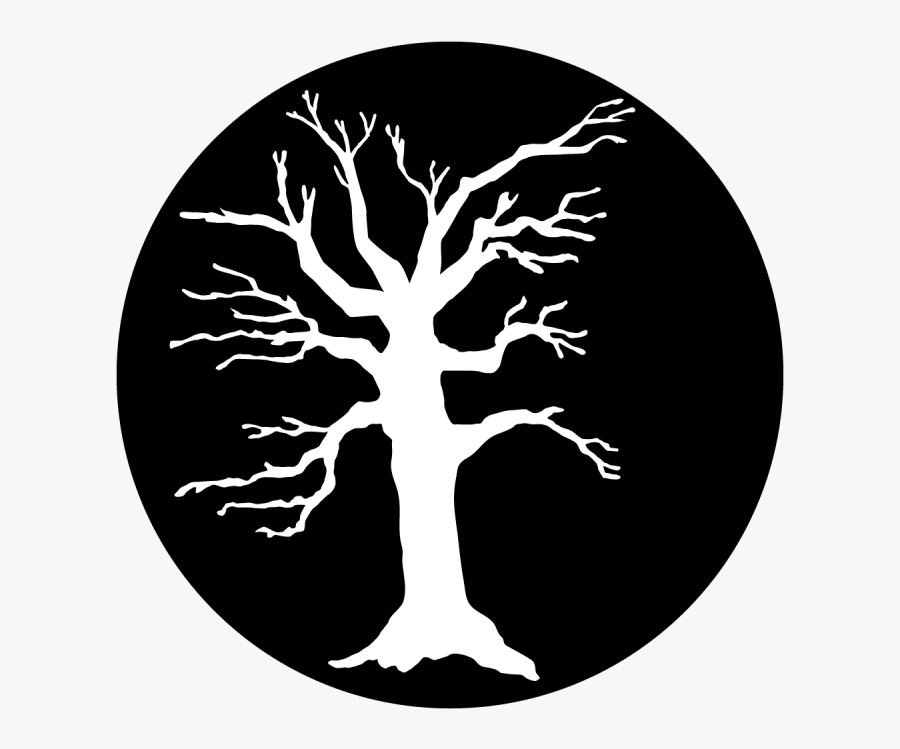 Scary Tree - Circle - Desenho De Arvore Branca, Transparent Clipart
