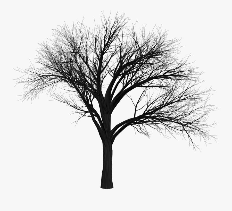 Transparent Tree Branch Silhouette Png - Scary Tree Png, Transparent Clipart