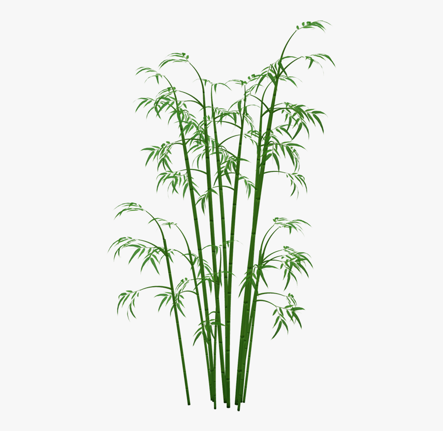 Download Bamboo Png Image - Transparent Bamboo Png, Transparent Clipart