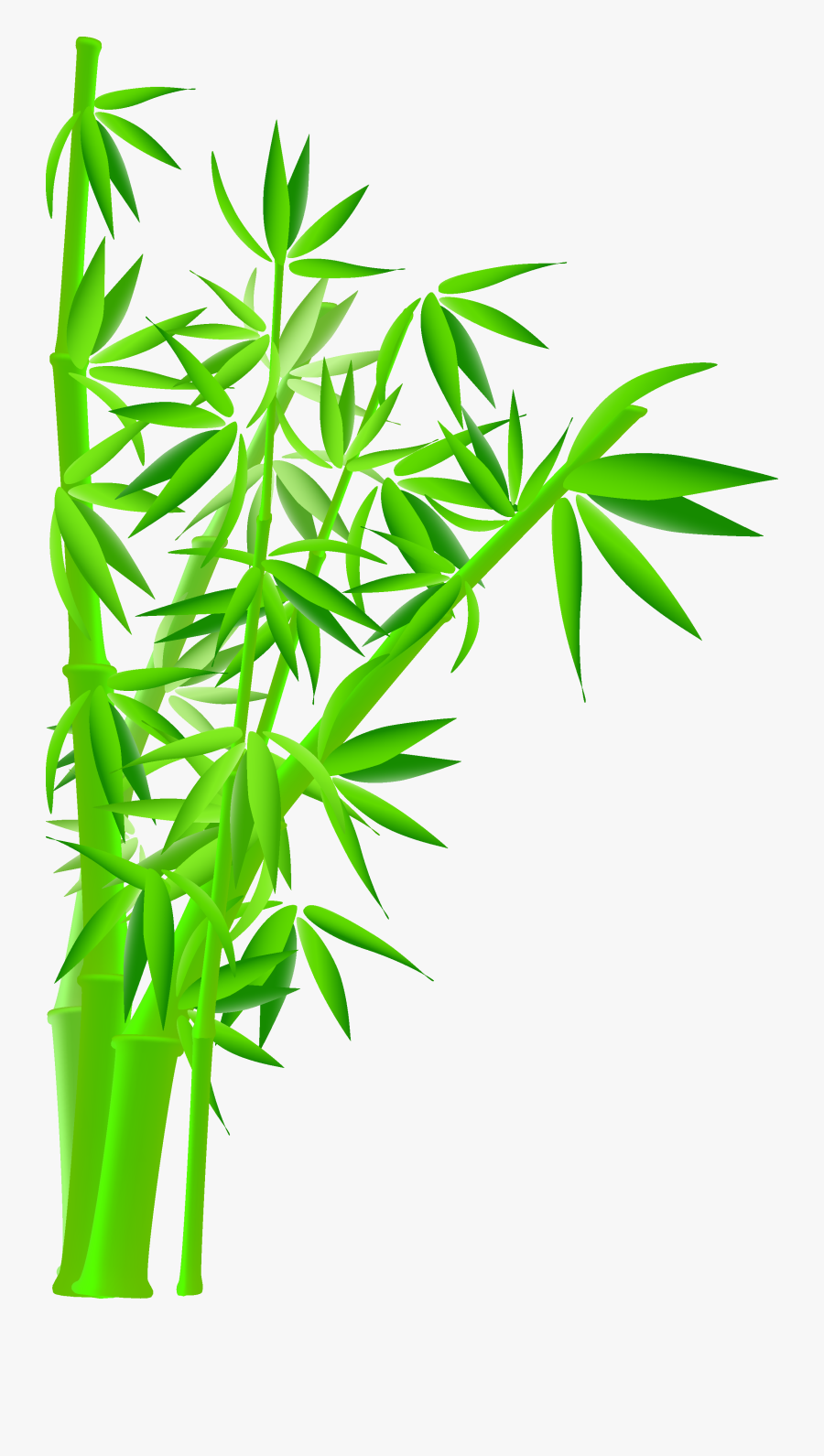 Green Bamboo Png - Bamboo Tree Hd Photo Png, Transparent Clipart
