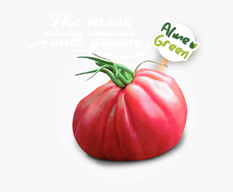 Transparent Tomate Png - Plum Tomato, Transparent Clipart