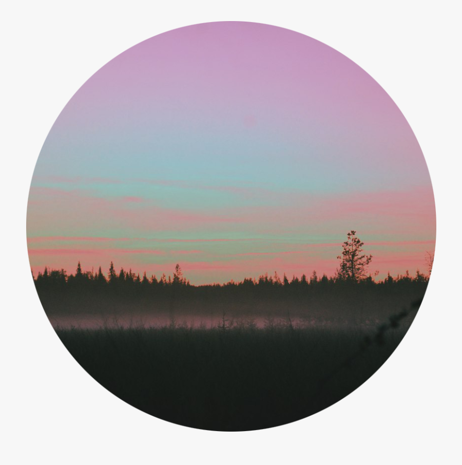 Tumblr Forest Nature - Sunset Transparent, Transparent Clipart
