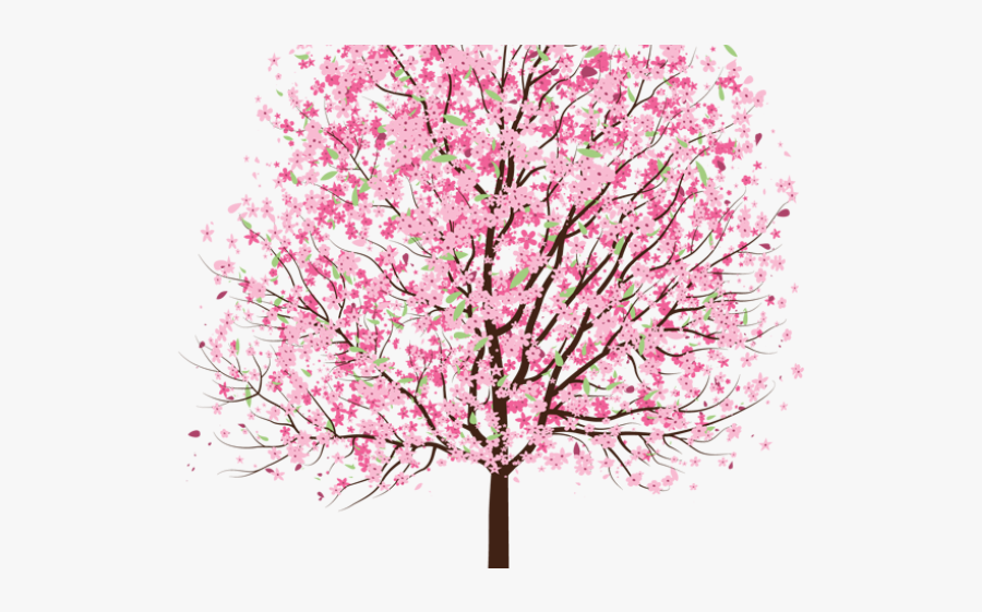 Cherry Blossom Trees Transparent, Transparent Clipart
