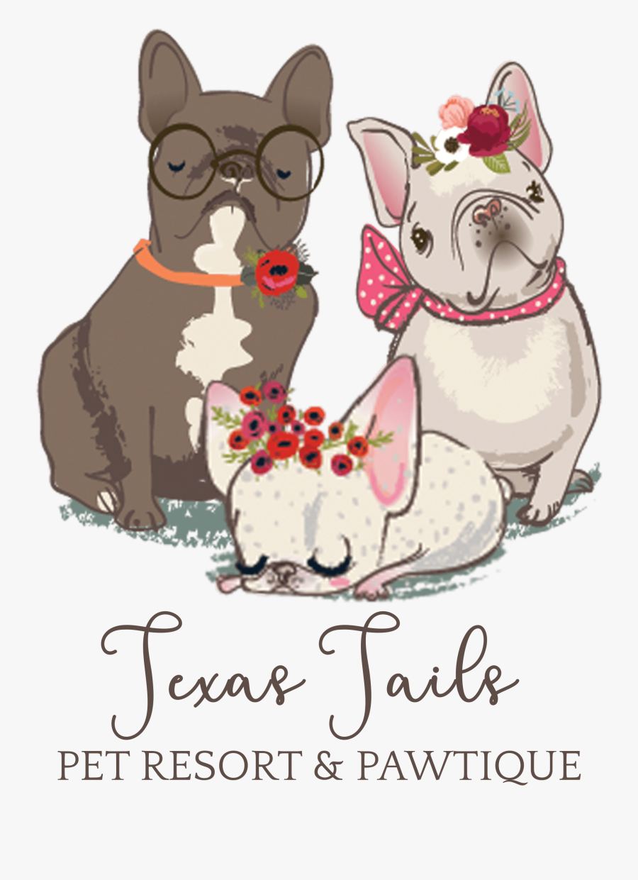 Texas Tails Pet Services - Cartoon , Free Transparent Clipart - ClipartKey