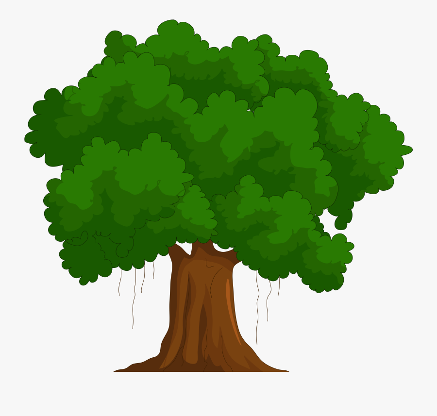 Transparent Cedar Clipart - Green Tree Clipart, Transparent Clipart