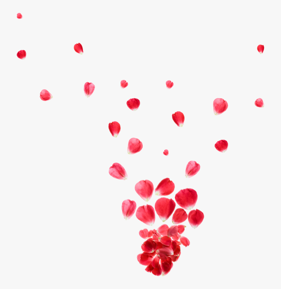 Falling Rose Petals Background Png - Illustration, Transparent Clipart