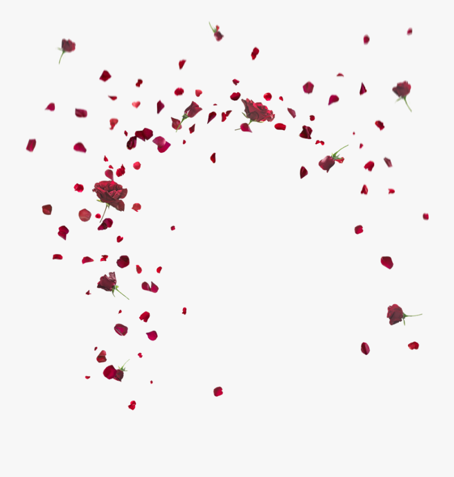 falling rose petals png pic falling rose petals png free transparent clipart clipartkey falling rose petals png pic falling