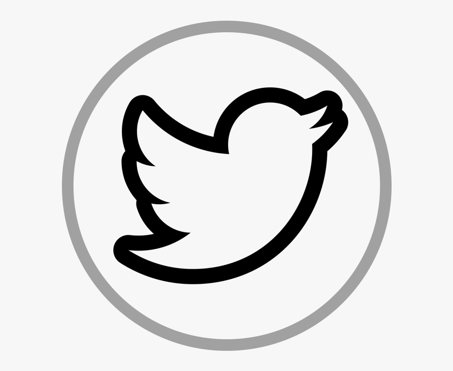 Papaya Twitter - Twitter Icon White Vector, Transparent Clipart