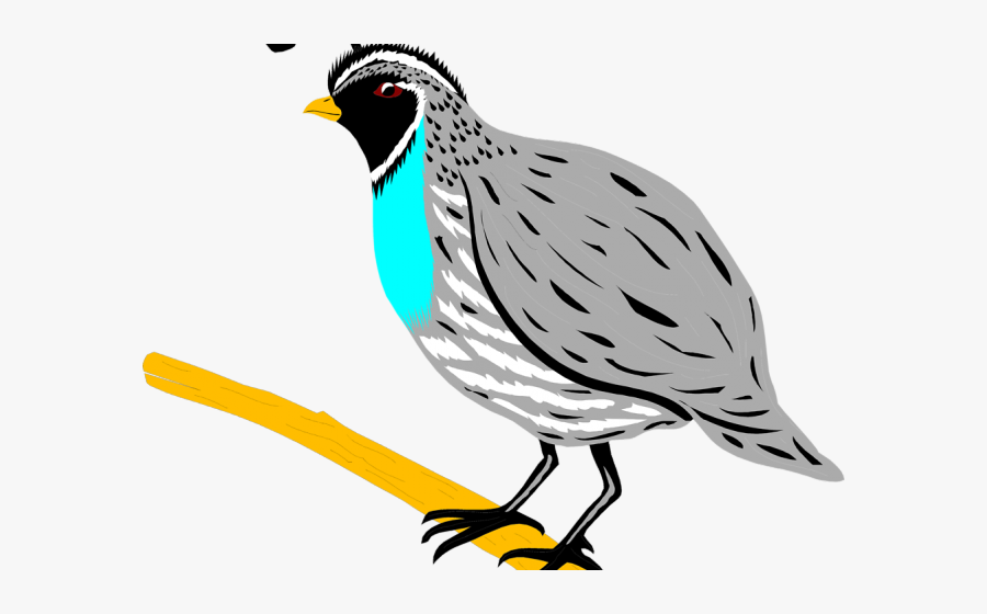 Quail Clipart Png, Transparent Clipart