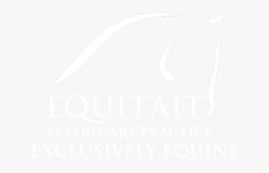 Equitait Veterinary Practice - Sketch, Transparent Clipart