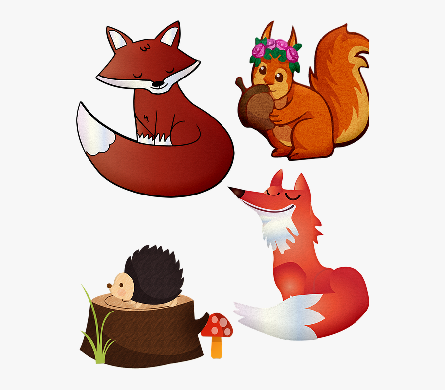 Fox, Forest Animals, Squirrel, Hedgehog, Animal, Forest - Animale Din Padure Clipart, Transparent Clipart