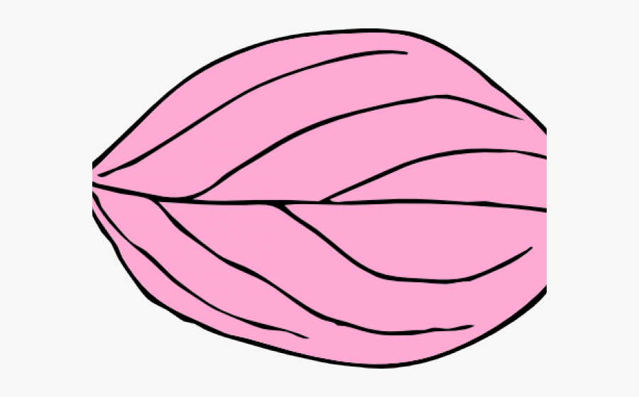 Transparent Pink Dumbbell Clipart - Oval Leaf, Transparent Clipart