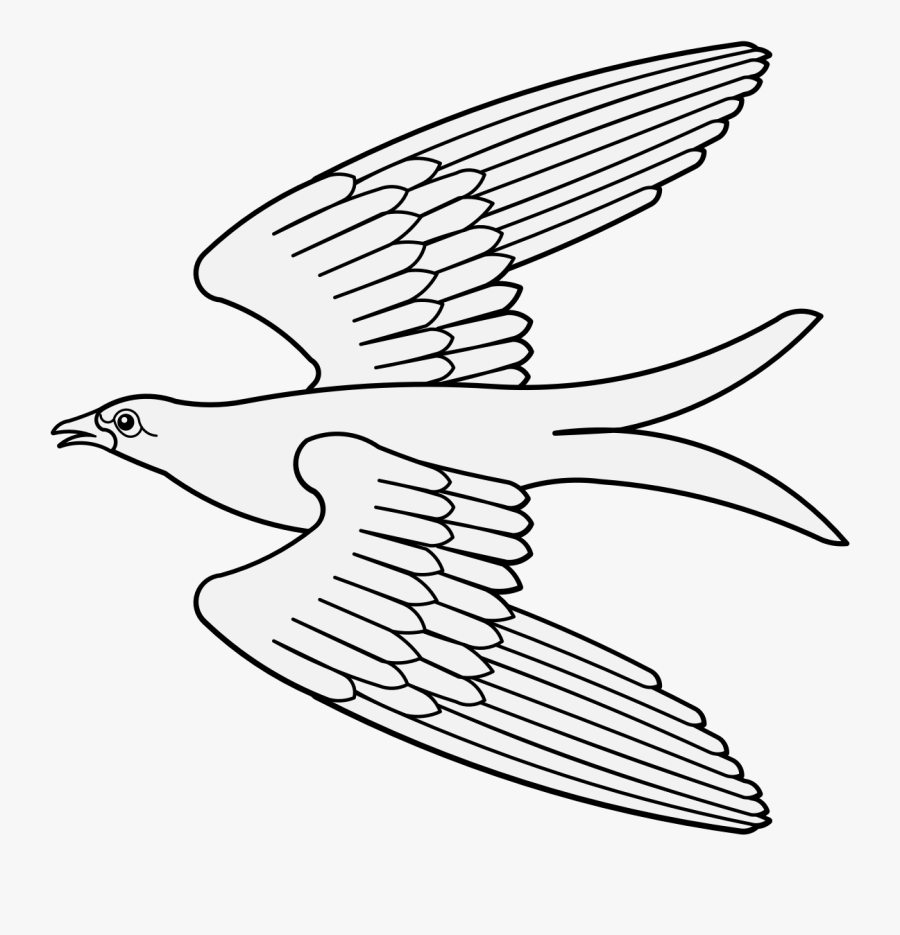 Falconiformes, Transparent Clipart