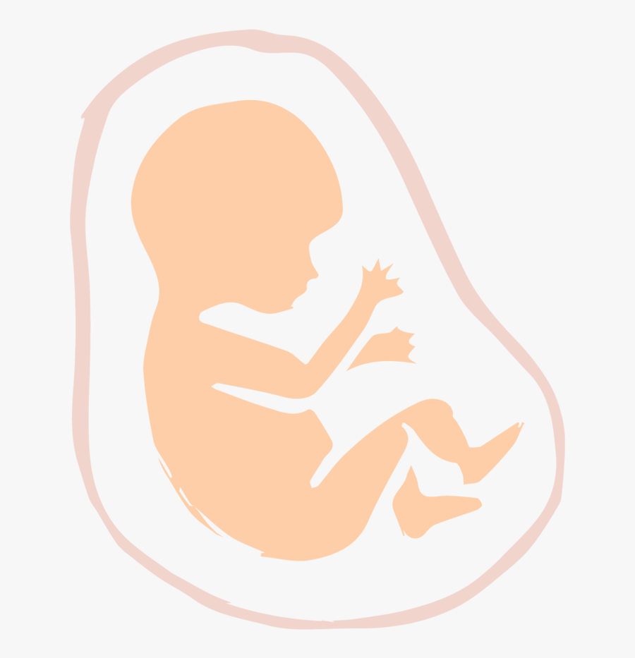 Baby Getting Born - Pro Life Abortion Clipart, Transparent Clipart