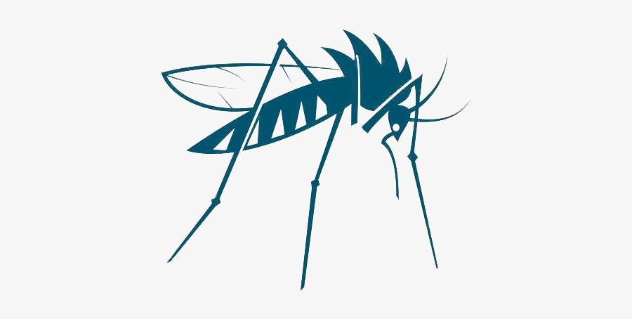 Mosquito Insect Vector Bed Bug - Mosquito Vector Png, Transparent Clipart