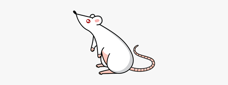 Dangers Of Mice And Rats - Cartoon, Transparent Clipart