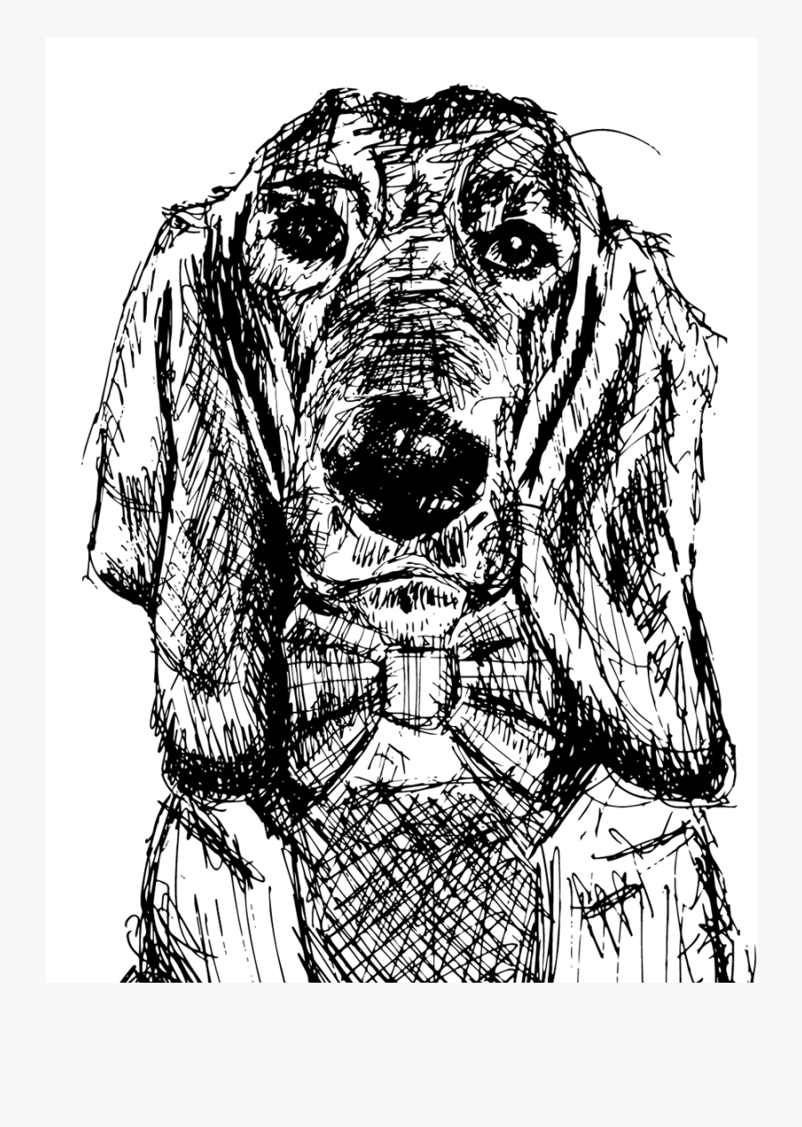 Basset Hound Clip Art, Transparent Clipart