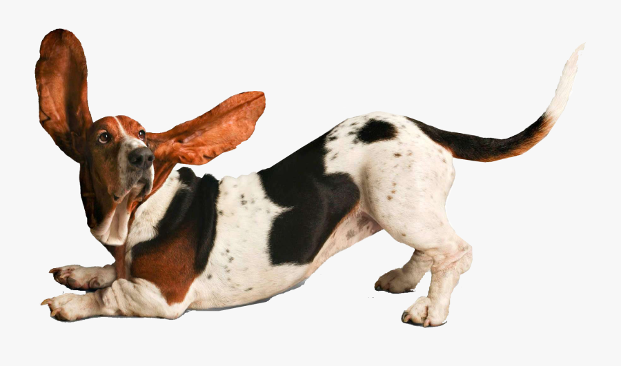 Transparent Dogs Png - Funny Dog Png, Transparent Clipart