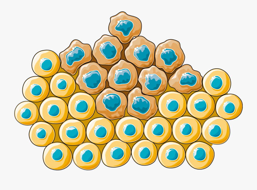 Cancer Cell Clipart - Cancer Cells Png, Transparent Clipart