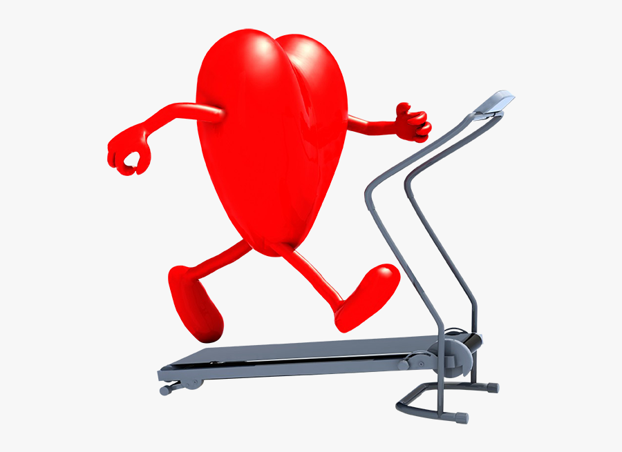 Concussion And Exercise, Transparent Clipart