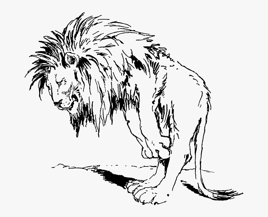 Lion Bowing Drawing, Transparent Clipart