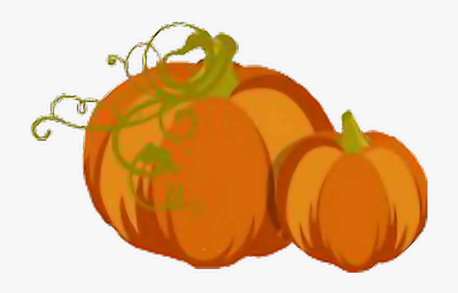 #fall #pumpkins #autumn - Pumpkin, Transparent Clipart