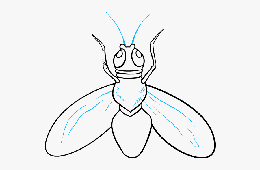 How To Draw Fly - Draw Flies , Free Transparent Clipart - ClipartKey