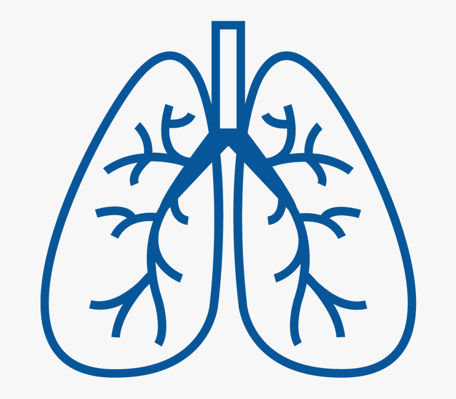 Cough Clipart Copd Patient - Respiratory System Vector Png, Transparent Clipart
