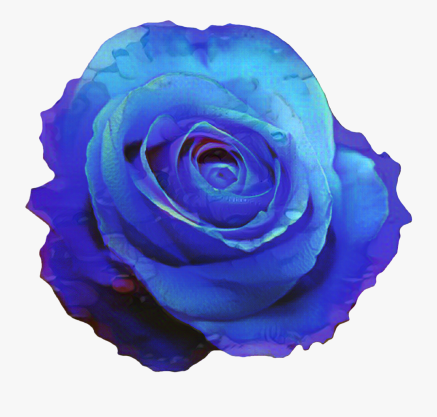 Portable Network Graphics Blue Rose Clip Art Blue Flower, Transparent Clipart