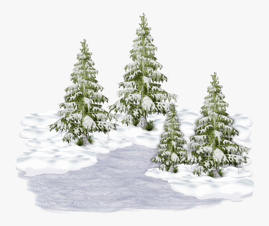 Christmas Tree, Transparent Clipart