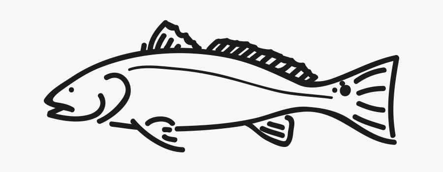 Producto Ficha Pez Redfish Frio Antartic - Red Fish Picture Black And White, Transparent Clipart