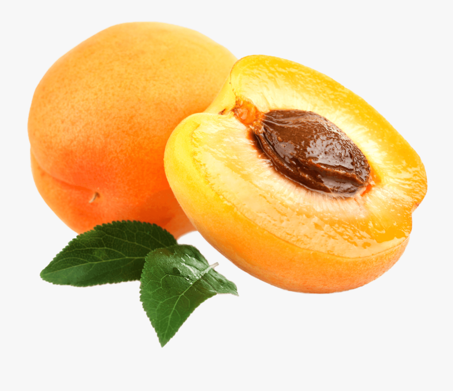 Apricot Open - Apricot Png, Transparent Clipart