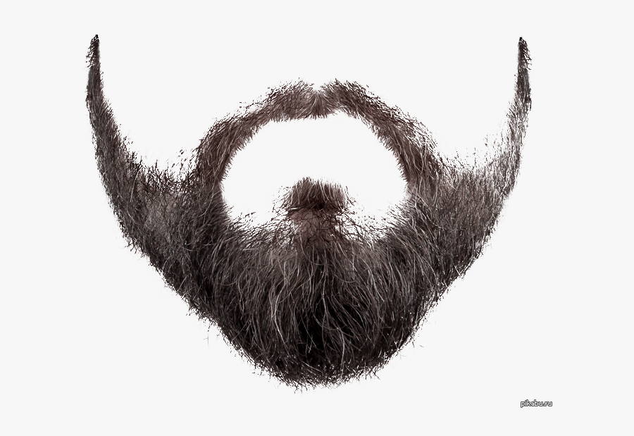 Transparent Realistic Mustache Png - Beard Transparent Png , Free