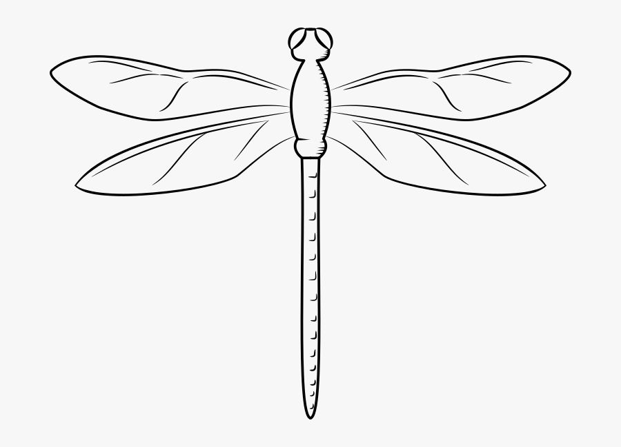 Swamp Vector Dragonfly - Vector Of Dragon Fly, Transparent Clipart