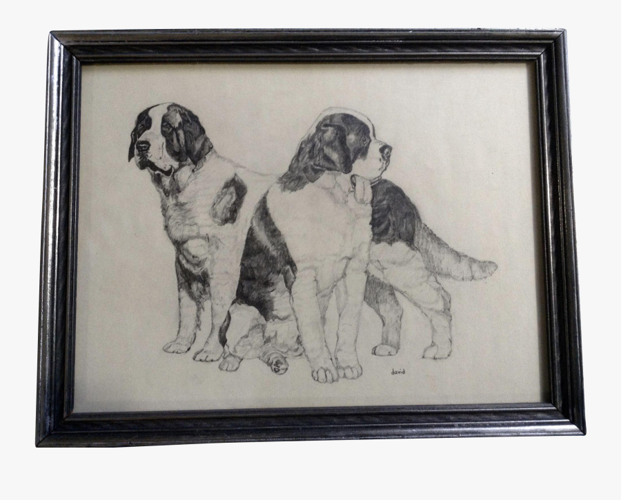 Mastiff Drawing Pencil - St. Bernard, Transparent Clipart