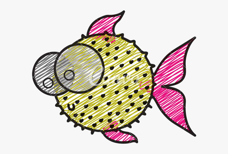 With Big Eyes Icons - Blowfish Drawing, Transparent Clipart