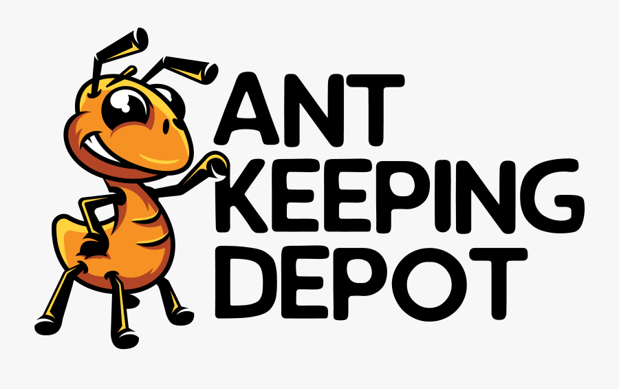 Logo Ant Football, Transparent Clipart