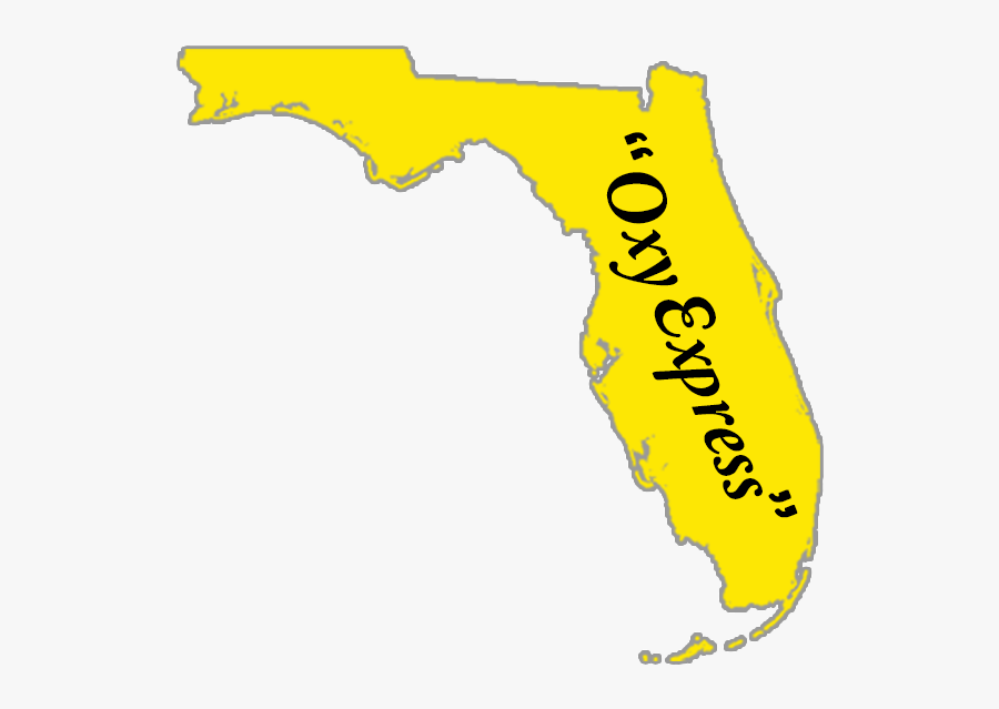 Florida State Was Known As The "oxy Express", Transparent Clipart