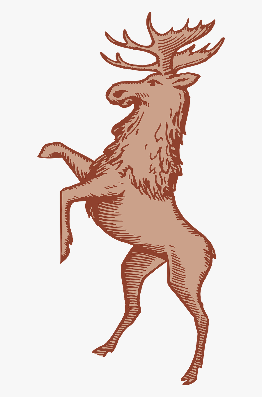 Moose Stag Deer Free Picture - Moose Clip Art, Transparent Clipart