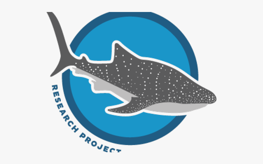 Whale Shark Conservation, Transparent Clipart