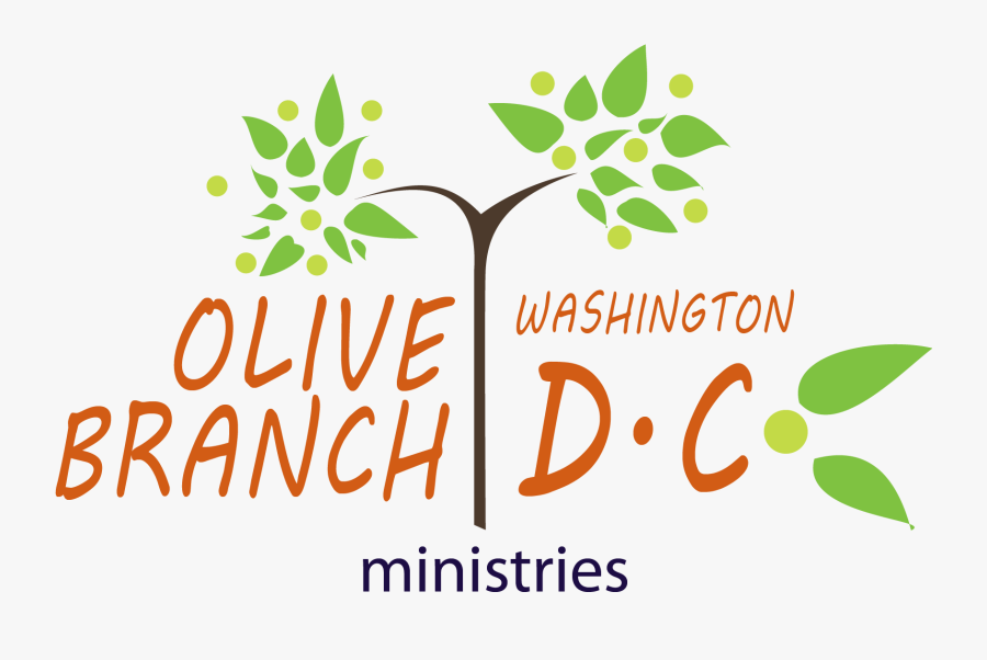 Olive Branch Washington Dc - Cellus Tech India Pvt Ltd, Transparent Clipart