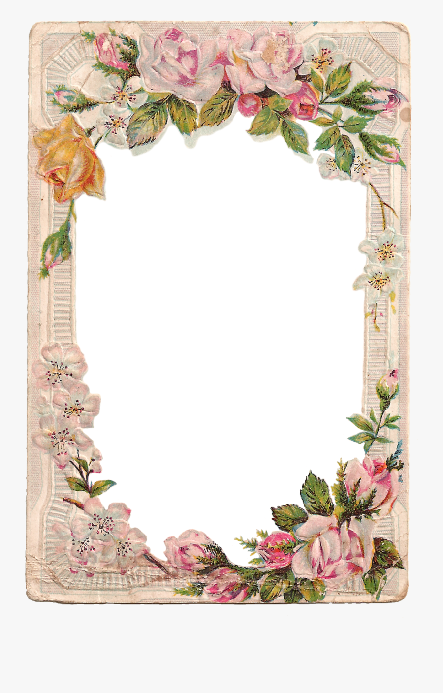 Floral Frames And Borders, Transparent Clipart