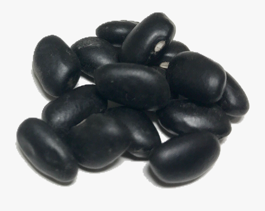 Transparent Bean Png - Black Bean Png, Transparent Clipart