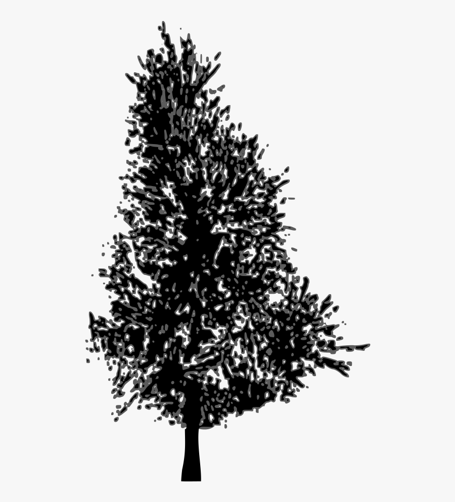 Vector Pine Tree - Pine Tree Cliparts Silhouette, Transparent Clipart