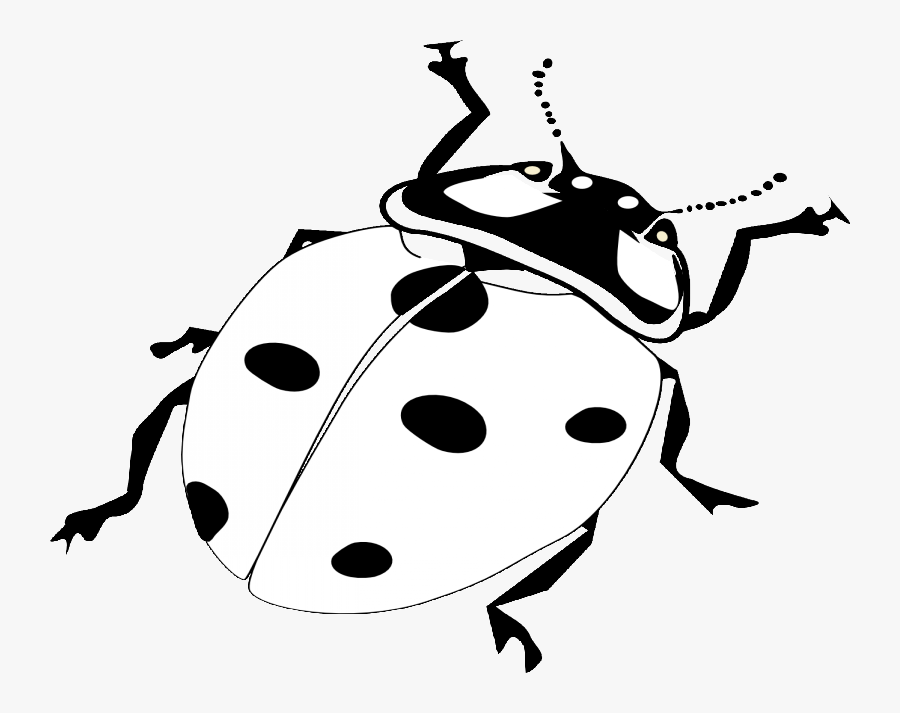 Ladybird Black And White, Transparent Clipart