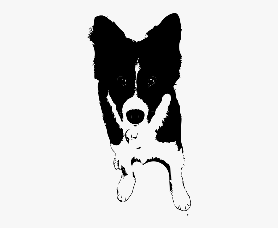 Monochrome Breed - Dogs Clipart Black And White Collie, Transparent Clipart