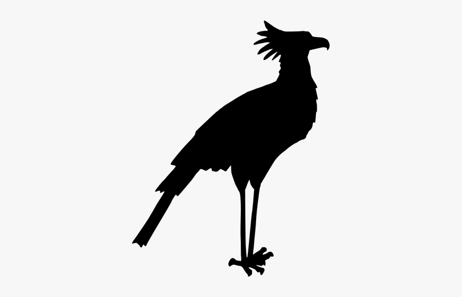 Secretary Bird Silhouette Vector Image - Bird Silhouette Art, Transparent Clipart