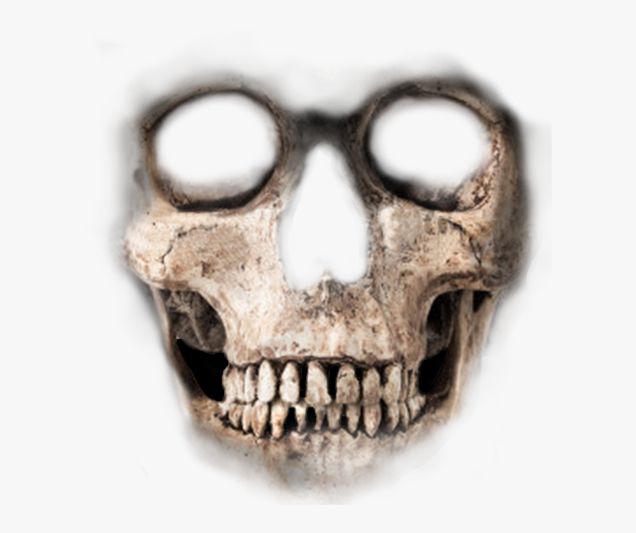 Skeleton Face Png - Skull Face Transparent Background, Transparent Clipart