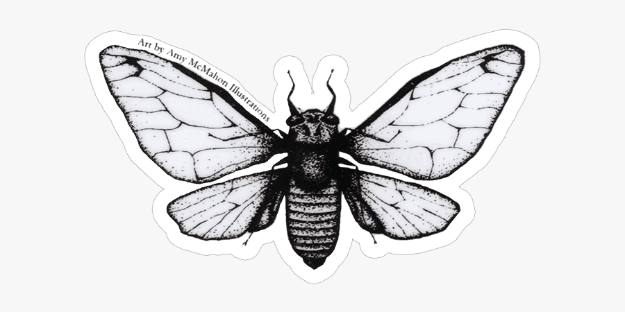 Amy Mcmahon Magicicada Septendecim Cicada Sticker - Cicada Sticker, Transparent Clipart